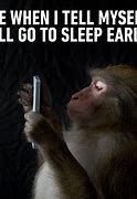 Image result for Animals Look at Phone Meme