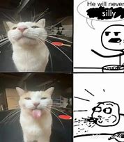 Image result for Oh so Silly Cat Meme