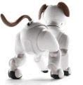 Image result for Aibo Robot Dog Names