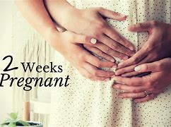 Image result for Pregnant 2 Weeks Women