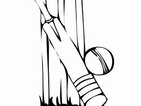 Image result for Cricket Line Art