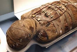 Image result for Mummified Mummy