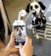 Image result for PhoneDog Attachment