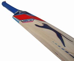 Image result for Slaznger Cricket Bat V1000