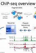 Image result for Chip Sequencing