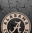 Image result for Alabama Football Pics