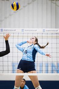 Image result for Professional Volleyball Photography