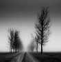 Image result for Eerie Background Images