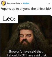 Image result for Leo Fancy Meme