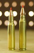 Image result for 222 Remington vs 223 Remington