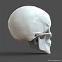 Image result for 3D Printed Human Skull