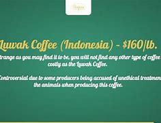 Image result for The World's Most Expensive Coffee
