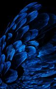 Image result for Blue Feather Wings