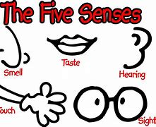 Image result for Our 5 Senses Templaes Clip Art