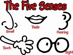 Image result for Preschool Five Senses Clip Art