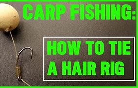 Image result for Carp Hair Rig Setup