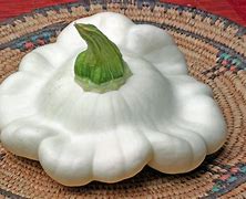 Image result for White Squash Recipes