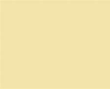 Image result for Champagne Yellow Color