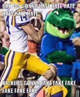 Image result for Gators Vs. LSU Memes
