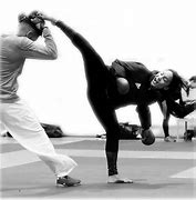 Image result for Martial Arts Moves