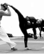 Image result for best martial arts