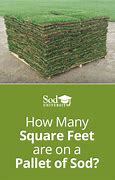 Image result for 500 Meters Square D Grass
