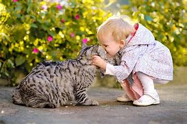 Image result for Kittens and Kids Funny