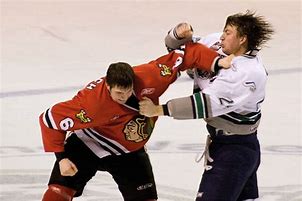 Image result for Blackhawks Ice Hockey Fights