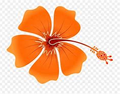 Image result for Teal Hibiscus Flower Clip Art