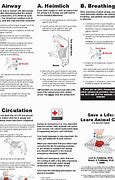 Image result for Dog CPR Chart