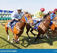 Image result for Gallop Race