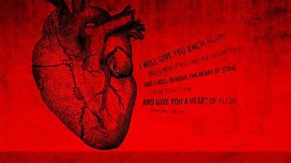 Image result for Real Heart Wallpaper