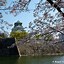 Image result for Osaka Castle Tower