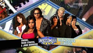 Image result for WrestleMania XXVII