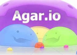 Image result for agareo