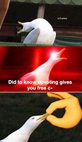 Image result for Shut Seagull Meme