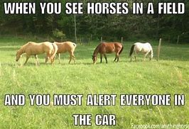 Image result for Blind Horse Meme
