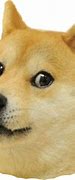 Image result for Doge Meme Illustration