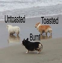 Image result for A Toast Meme