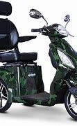 Image result for Three Wheel Electric Bikes