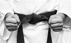 Image result for Men's Black Belt