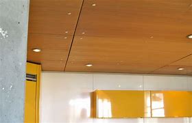 Image result for Plywood Ceiling Ideas