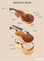 Image result for Violin Structure