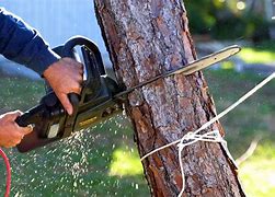 Image result for There I Fixed It Tree Trimming