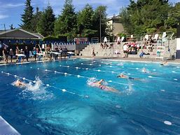 Image result for Tyler Lippold Aqua Club