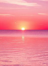 Image result for Pink Beach iPhone Wallpaper