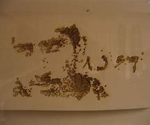 Image result for Burned Paper with Writing