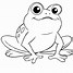 Image result for Frog Outline Coloring Page