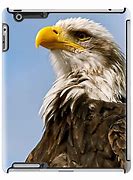 Image result for Eagle iPhone 5 Case