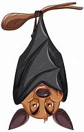 Image result for Hanging Bat Cartoon